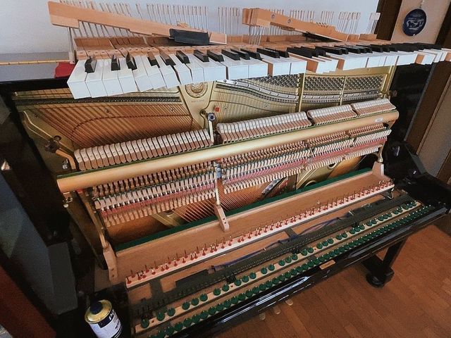 国家資格保有 業界6年目 個人様から施設様まで丁寧に作業させていただきます