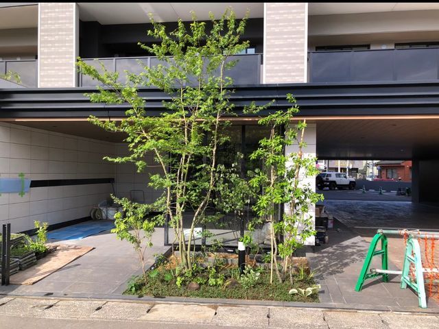 長崎駅リニューアル実績！自然樹形を活かした自社スタッフ直接対応の専門技術