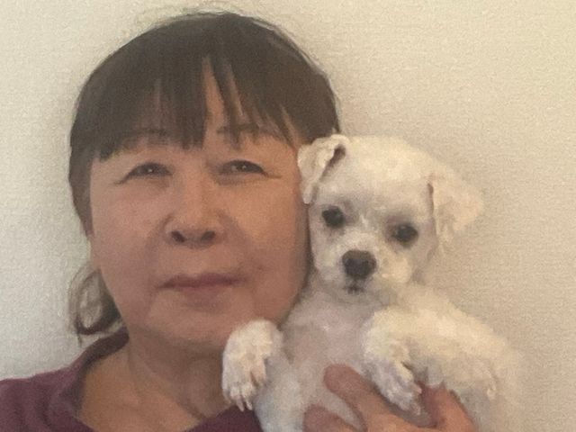 出張トリミング犬のとこやさん清須市