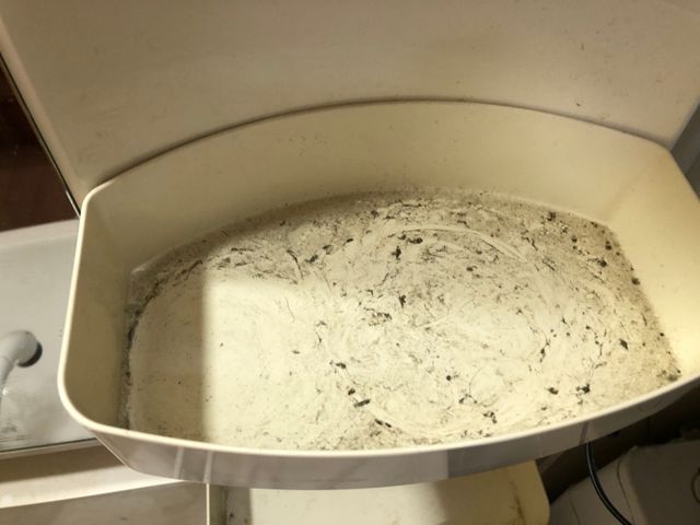 プロの技術でご満足いただけるように心を込めて作業いたします