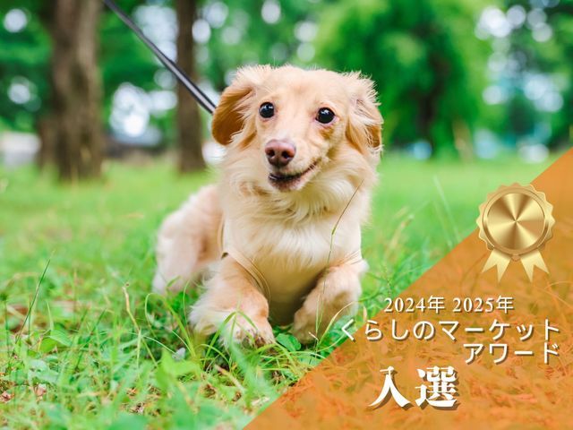 【アワード入選】年間500組撮影★現役プロカメラマン★屋内外撮影お伺い致します！