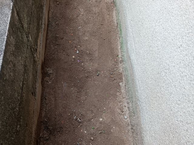 大切なお庭を綺麗にさせて頂きます！