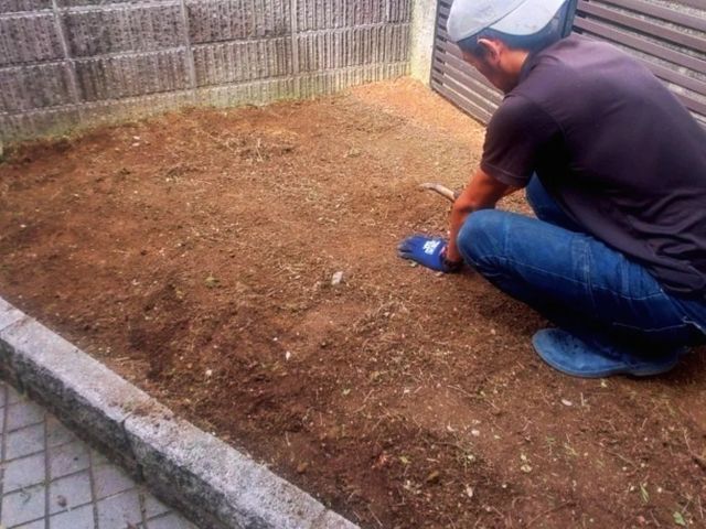 草むしり(庭、駐車場、敷地内)