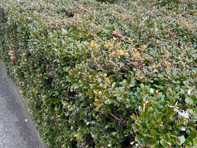 プロの技術でご満足いただけるように心を込めて作業いたします