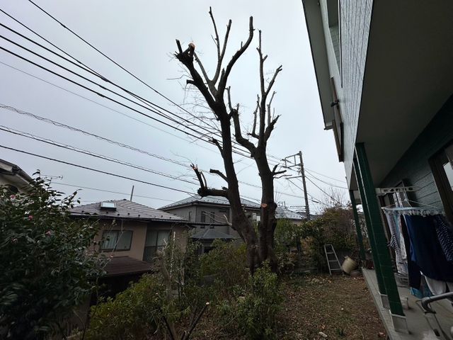 樹木の剪定◯お庭を綺麗にします！◯損害保険加入済み！◯