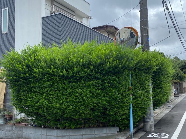 樹木の剪定◯お庭を綺麗にします！◯損害保険加入済み！◯ヒアリングをしっかり！