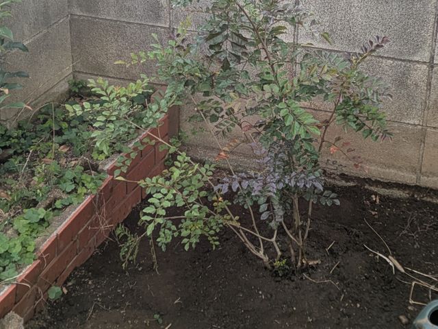 プロの技術でご満足いただけるように心を込めて作業いたします