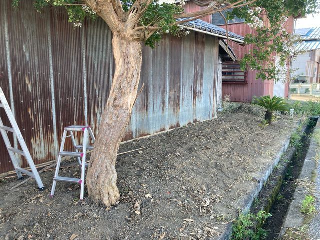 お庭や空き家の管理辛い草むしり作業はお任せ下さい！