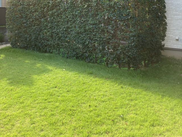 プロの技術でご満足いただけるように心を込めて作業いたします。人工芝も対応可能です