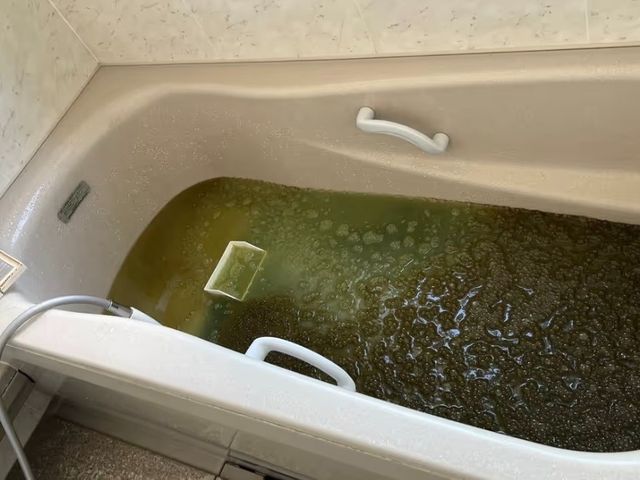 5月新出店◎子ども・ペット安心のエコ洗剤◎事前説明【小田原市】