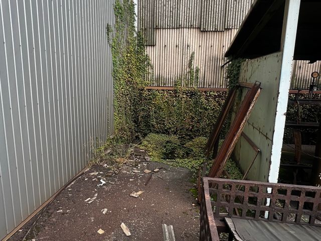 ツタを除去して住まいスッキリ！