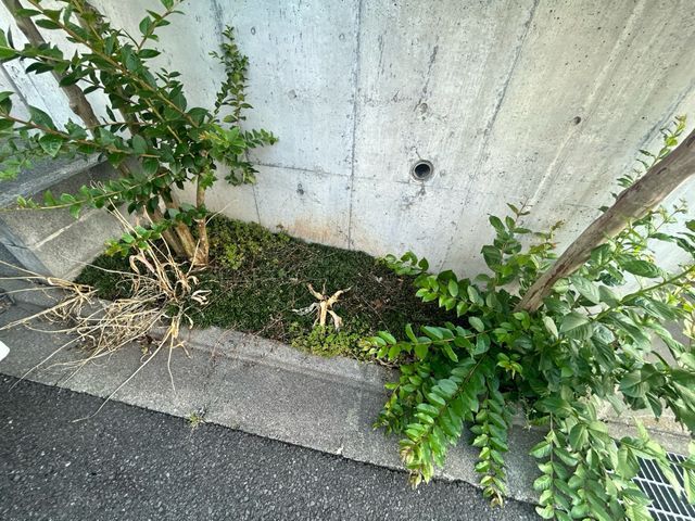 【緊急事態！】2025アワード入選記念！特別割引実施中！