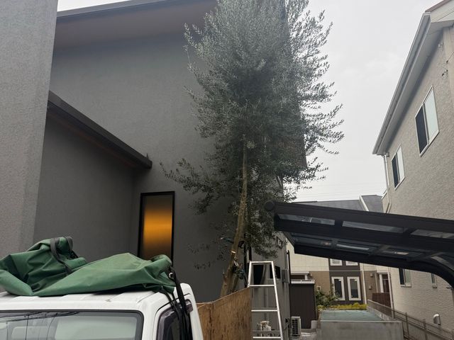 【緊急事態！】2025アワード入選記念！特別割引実施中！