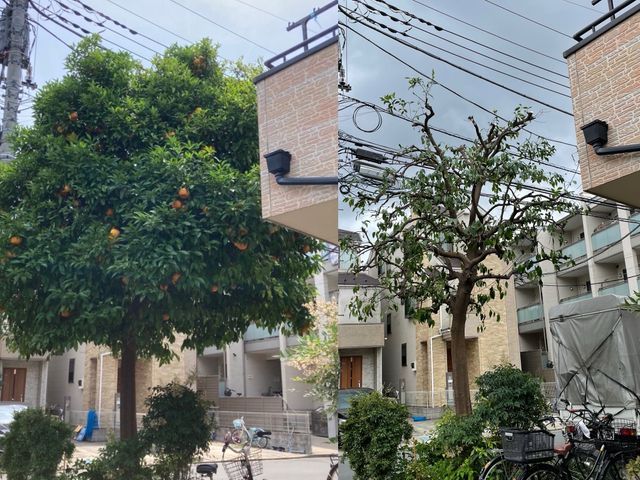 【カットした枝葉回収費込み価格！】写真で無料見積もり出来ます！お気軽にどうぞ！