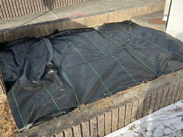 庭木の剪定、抜根