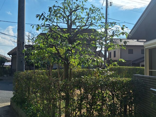 一級技能士がお力になります！経験と知識を活かして迅速丁寧に作業いたします！