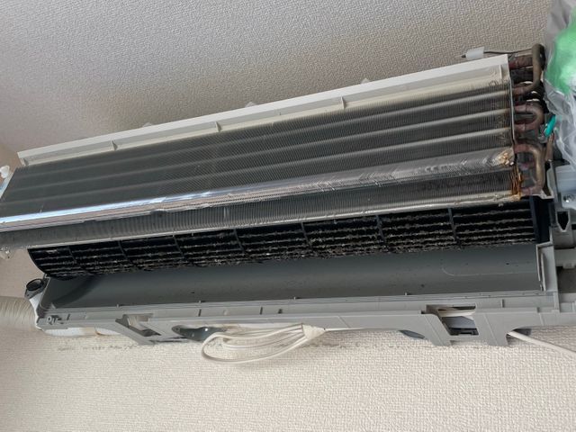 【2万件超の実績】今月限定抗菌コート無料！！