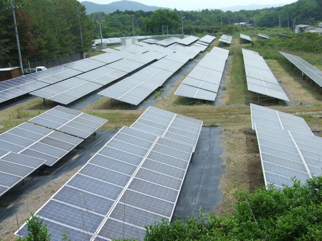 【大手企業実績あり】草刈・芝刈・ツタ除去など、ご要望に柔軟にお応えいたします！