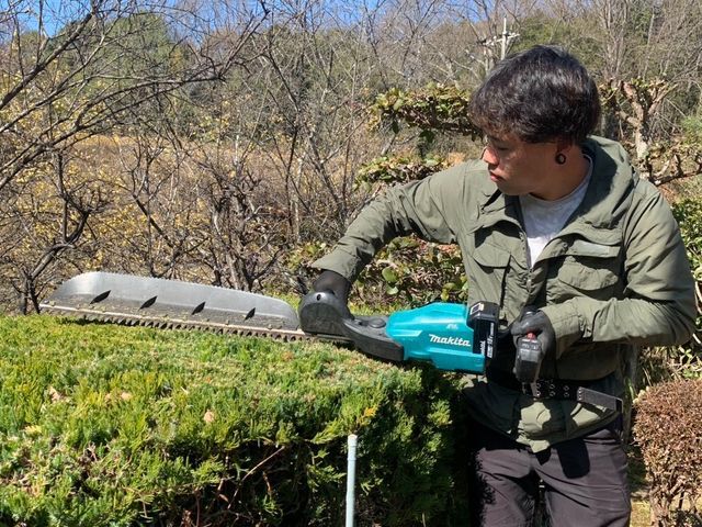出店記念キャンペーンにつき地域最安値に挑戦中！生垣剪定の腕には自信があります！
