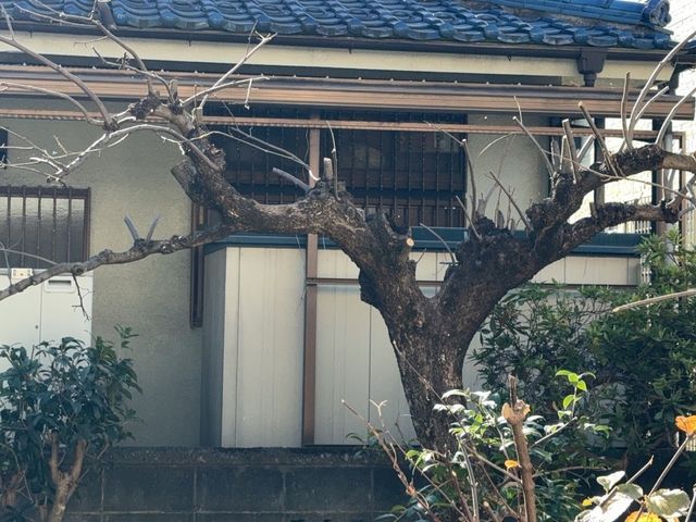 ご要望を伺って手掛けるお庭リニューアル！理想の庭をきめ細かくヒアリングして実現