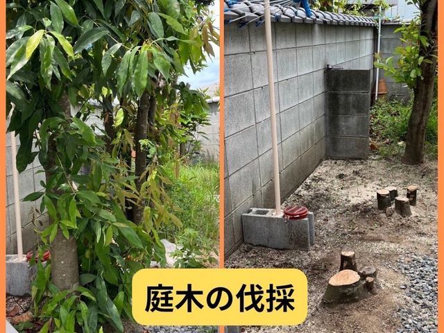 庭木1本から対応！伐採・抜根・処分までお任せください。