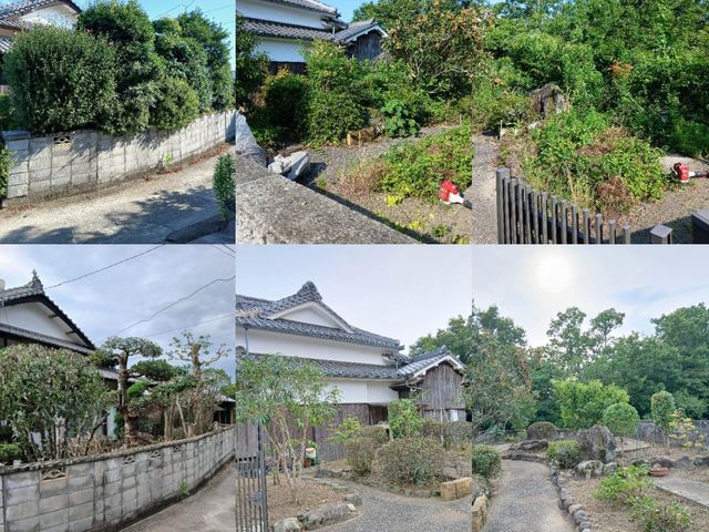 庭木の伐採や、伸びすぎた樹木の伐採、時期に合わせた剪定をします。