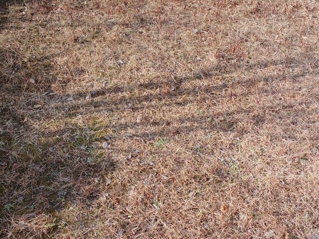 プロの技術でご満足いただけるように心を込めて作業いたします