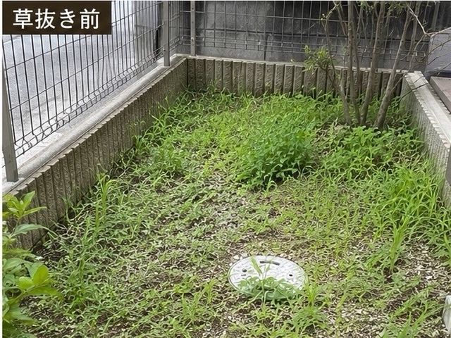 ◆コツコツと黙々と全力で作業◆パワフルな女性スタッフが丁寧にお仕事します！