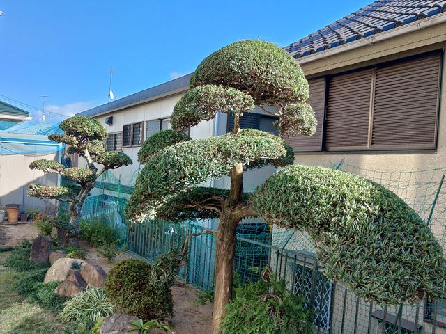 ◆◇10月新規出店◇◆経験16年の職人がお客様のご希望に寄り添う◎