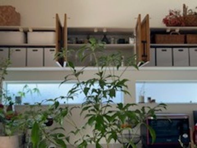 【資格保有】あなたに合った仕組みづくりで、無理なく整う暮らしにしましょう！