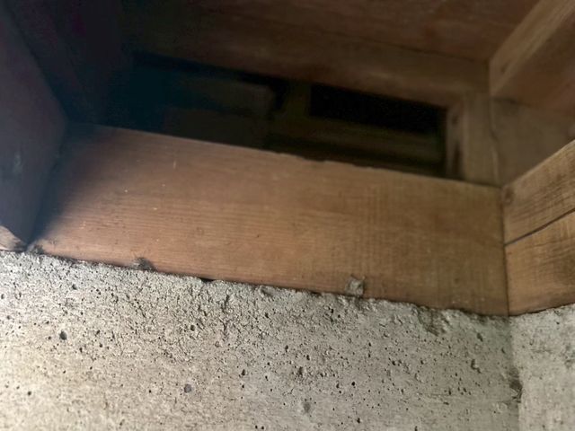 壁紙まで徹底対策！ネズミ駆除12年◎100件以上の実績！