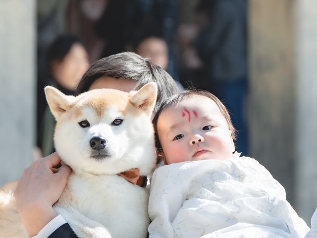 《ママカメラマン》撮影が大切な思い出に《丁寧な編集レタッチ》スライドショー無料