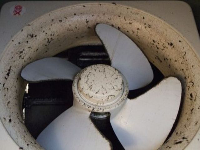 【猫好き★秋田出身25歳】分解洗浄★PayPay他にも対応