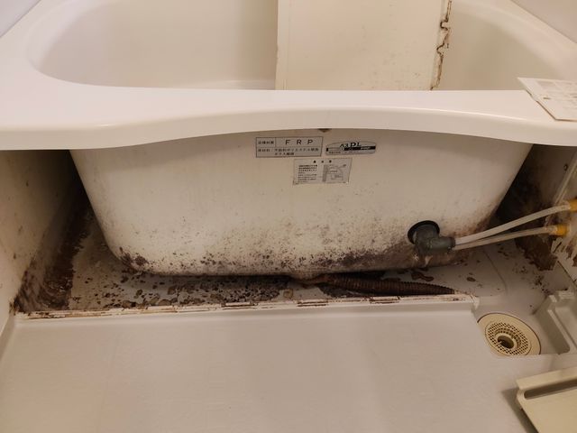 ZAFIRO CLEANの浴室清掃｜輝くバスルームで毎日を贅沢なリラックスタイム