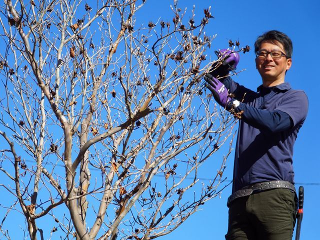 新規出店◎理想通りの仕上がりにお手入れ・庭造り【立合い不要・留守中作業可】