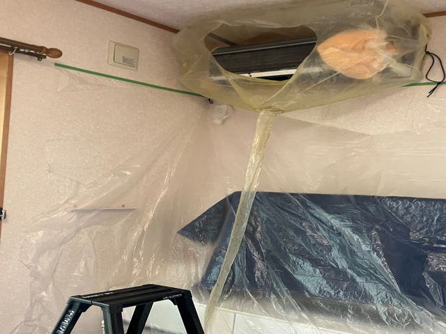 【川崎市出発】ハウスクリーニング士の私がお伺いします！品質第一の作業を大切に