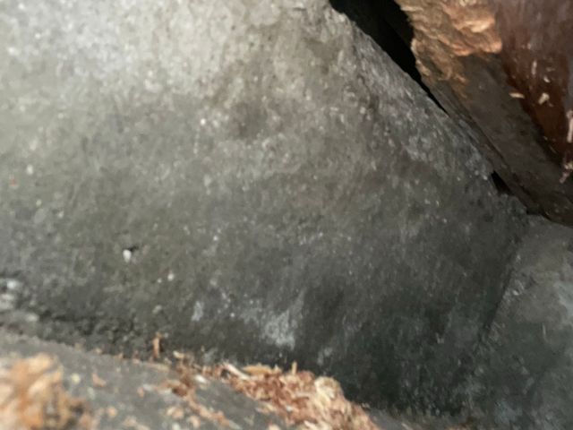 ハクビシン、たぬき、アライグマは住ませない！害獣施工実績豊富なのは山本企画！