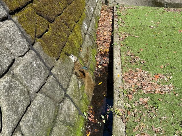 丁寧な仕上がりとアフターフォロー万全の出張サービス