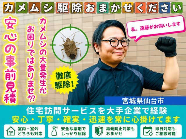 駆除料金【10平米(3.2m × 3.2m 】基本料/出張料込み