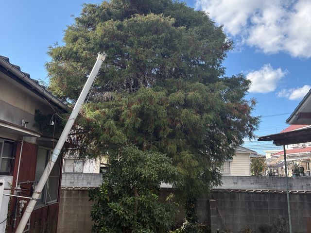 作業外注一切なし、要望確認から仕上げ・清掃まで責任を持って対応いたします