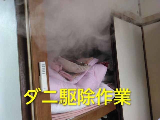 ダニ、ゴキブリ、ムカデ等嫌な害虫の駆除