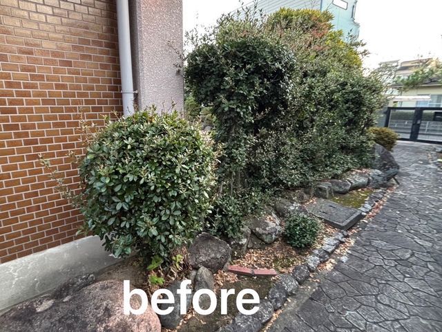 丁寧仕上げで見違える植込み・生垣へ！細部まで美しく、こだわり剪定いたします^_^