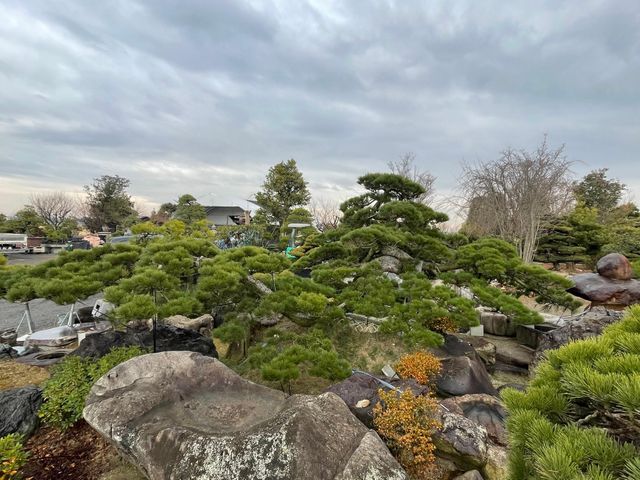 大手量販店で培った高品質施工 × 丁寧な接客