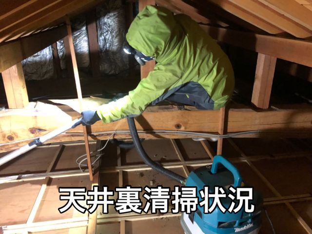 【ネズミ駆除年末まで空き僅か】1度口コミ覗いてください！調査〜お見積りまで無料！