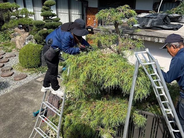 ★インボイス対応★女性スタッフも在籍！安心・丁寧な技術で庭を美しく