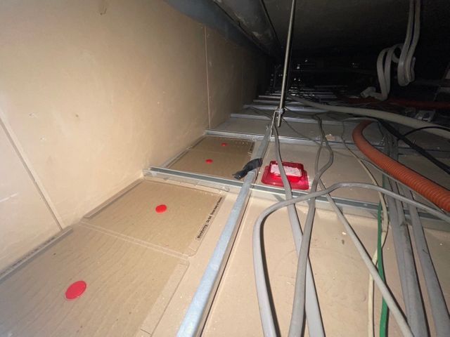 ネズミ撲滅！最短即日！原因追及から再発防止まで徹底し料金を明確に提示致します！