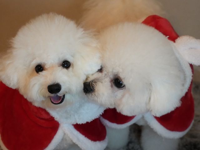 【10月出店】自然な笑顔を引き出すコミュニケーション力