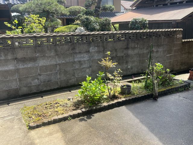 庭木・植木の植え替え専門｜移植で守る大切な木の命