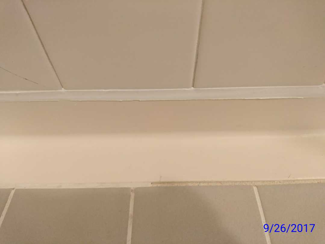 カビのスペシャリスト/カビが生えない特殊コーティング○女性スタッフ可能◎