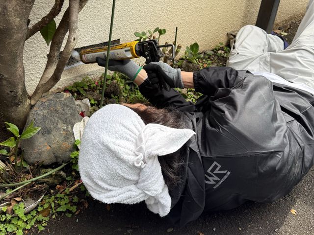 【現地調査見積無料】即日対応可！完全駆除をお約束します！